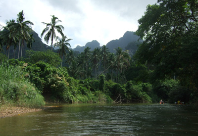 Sdostasien, Thailand: Metropolen, Dschungel und Palmenstrnde - Dschungellandschaft im Khao Sok Nationalpark 